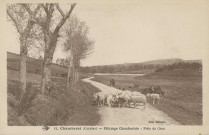 Chamberet : "12. Chamberet (Corrèze) - Pâturage chambertois - Près de Crau".