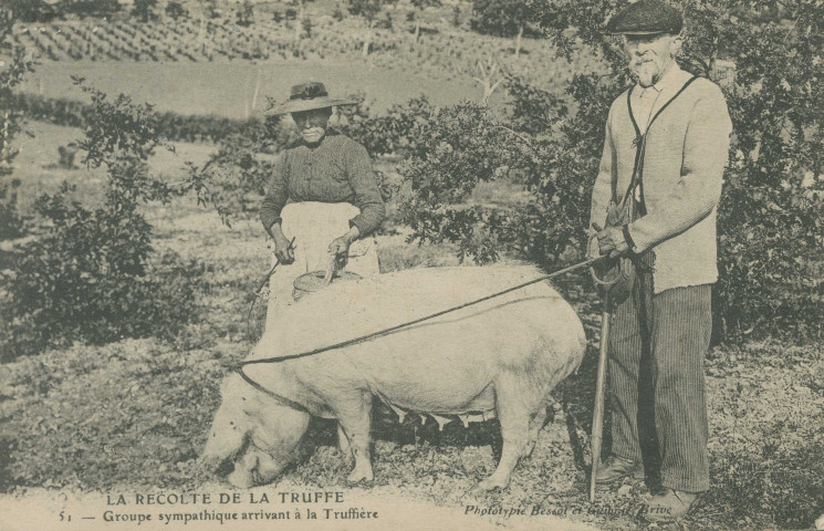 Folklore : "La récolte de la truffe - 51 - Groupe sympathique arrivant à la truffière".
