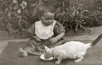 Portrait de bébé assis sur une couverture et chat lapant du lait.