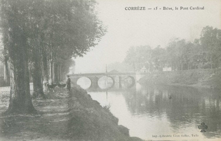 Brive-la-Gaillarde : "Corrèze - 15 - Brive, le pont Cardinal".