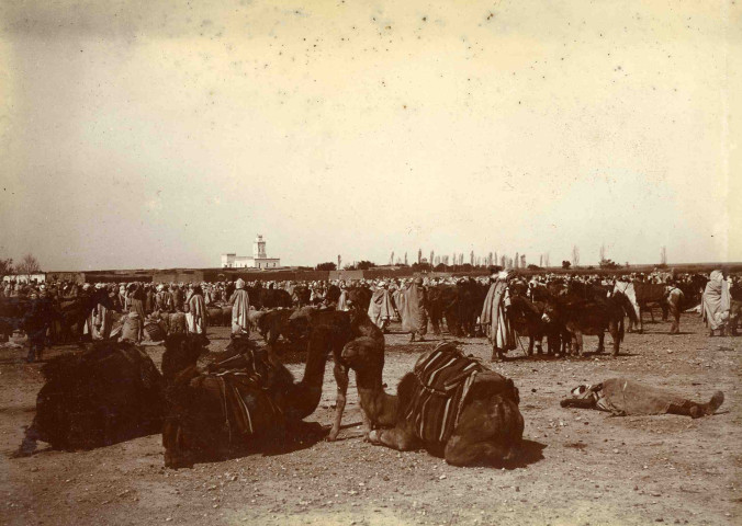 Le marché des chevaux et des ânes.