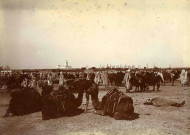 Le marché des chevaux et des ânes.