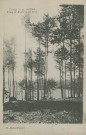 Saint-Priest-de-Gimel : "Corrèze - 25. Gimel - Etang de Brach vu du parc".
