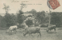 Folklore : "Types et scènes champêtres - 50 - Au paturage".