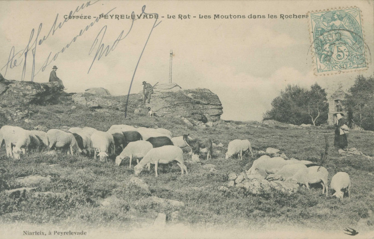 Peyrelevade : "Corrèze - Peyrelevade - Le Rat - Les moutons dans les rochers".