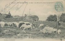 Peyrelevade : "Corrèze - Peyrelevade - Le Rat - Les moutons dans les rochers".