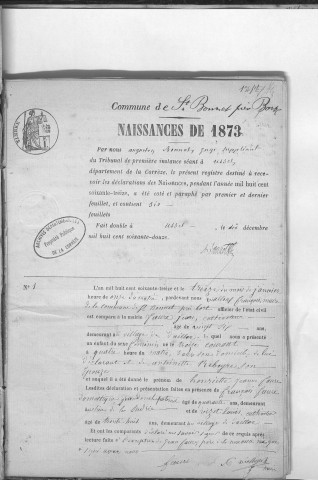 Naissances, mariages, décès (1873-1882)