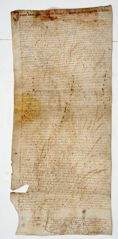 Parchemin : acte concernant François de la Tour, vicomte de Turenne. 09 février 1527