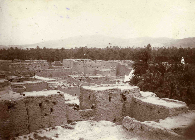 Village en torchis au milieu d'une oasis.