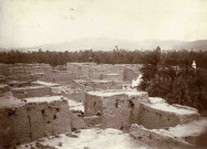 Village en torchis au milieu d'une oasis.