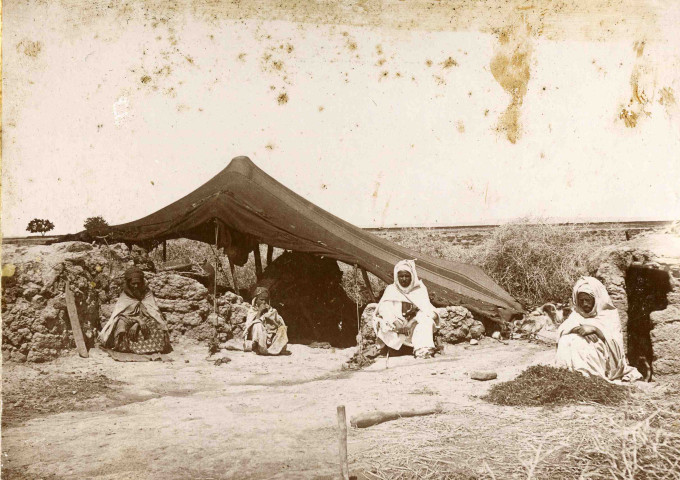 Abri en torchis et tente, tribu des Ouled-Amor.