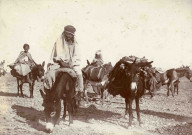 Mules guidées par des enfants.