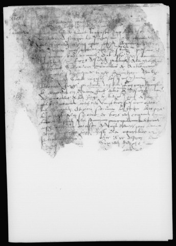 Cèdes (1605)