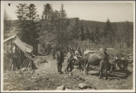 Transport du bois en char à boeufs.