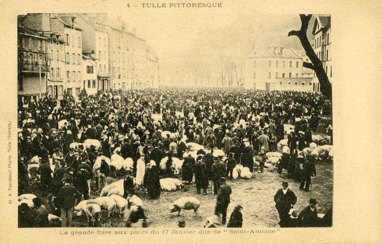 "4 - Tulle pittoresque. La grande foire aux porcs du 17 janvier dite de "Saint-Antoine".