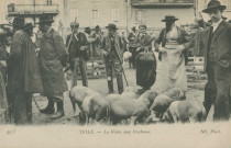 Tulle : "46 Tulle. - La foire aux cochons.".