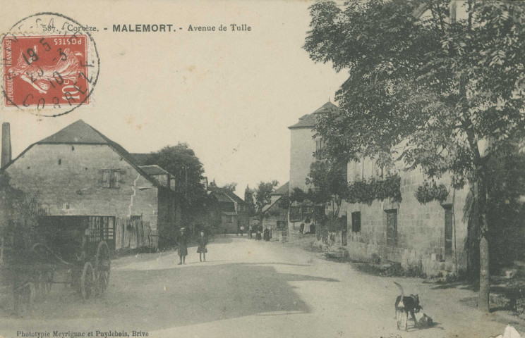 Malemort : "587. - Corrèze. - Malemort. - Avenue de Tulle".