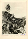"Rochers du Sautailleau" en été.
