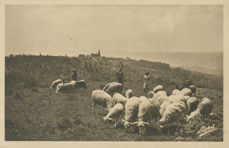 Saint-Bonnet-Elvert : "La Corrèze touristique - 12. St Bonnet Elvert - Vue panoramique vers le bourg - Avec troupeaux de moutons, bergères et bergers devinez qui ?".