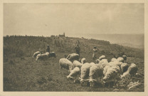 Saint-Bonnet-Elvert : "La Corrèze touristique - 12. St Bonnet Elvert - Vue panoramique vers le bourg - Avec troupeaux de moutons, bergères et bergers devinez qui ?".
