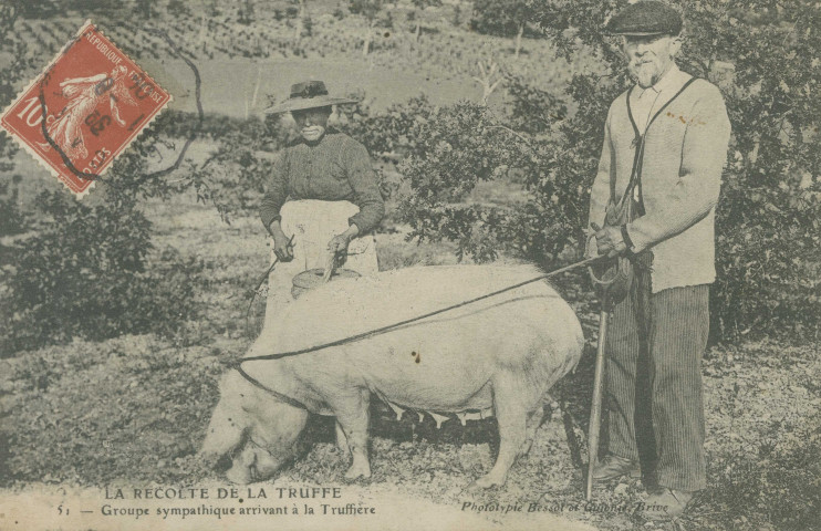 Folklore : "La récolte de la truffe - 51 - Groupe sympathique arrivant à la truffière".