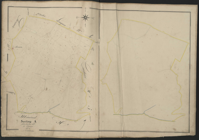 Section A8 des Cornus
