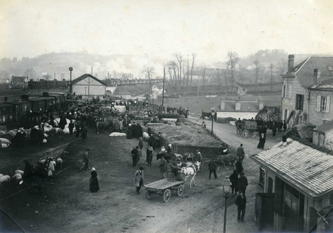 Gare : embarquement de bétail un jour de foire.