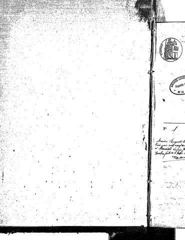 Naissances, mariages, décès (1873-1882)