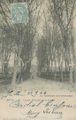 Brive-la-Gaillarde : "La Corrèze pittoresque - Brive - 85 - Grande allée place de la Guierle".