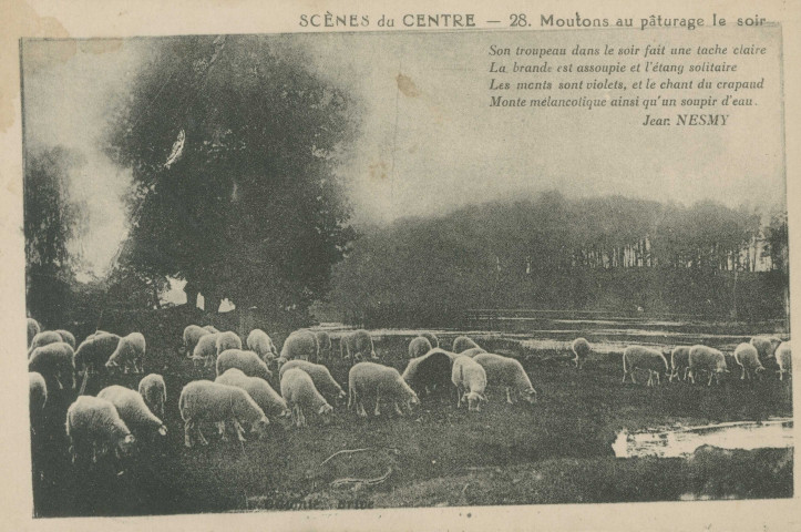 Folklore : "Scènes du Centre - 28. Moutons au pâturage le soir". Texte de Jean Nesmy.
