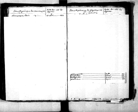 Tables décennales des naissances (1823-1832)