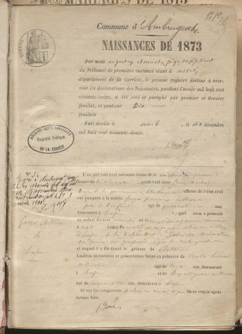 Naissances, mariages, décès (1873-1882)