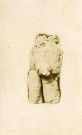 Racine de bryonia droica.