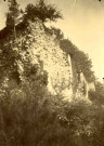 Moustier-Ventadour : le mur d'enceinte du château de Ventadour.