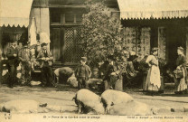 "61 - Porcs de la Corrèze avant le pesage".