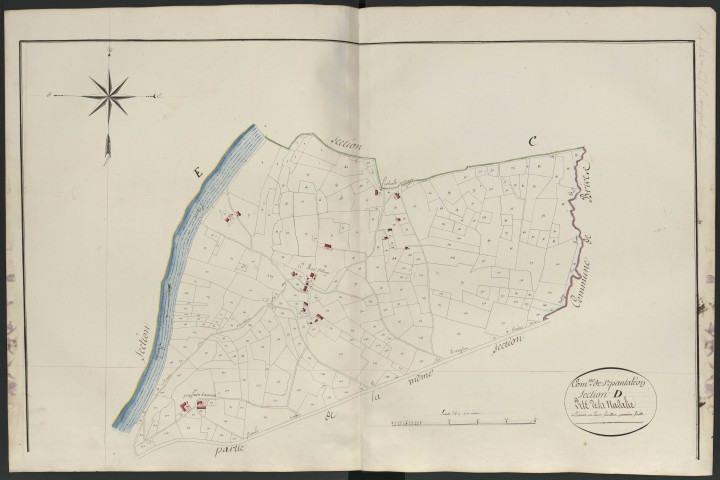 Section D1 de la Nadalie