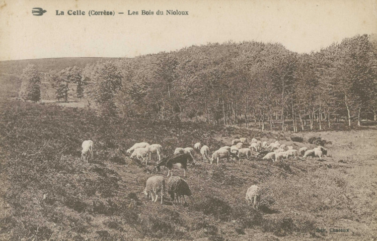 Lacelle : "La Celle (Corrèze) - Les bois du Nioloux".