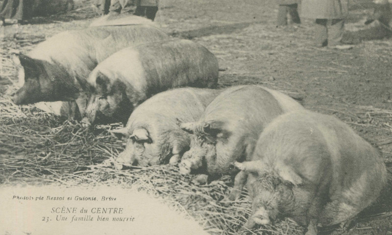 Folklore : "Scène du Centre - 23. Une famille bien nourrie".