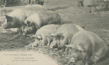 Folklore : "Scène du Centre - 23. Une famille bien nourrie".