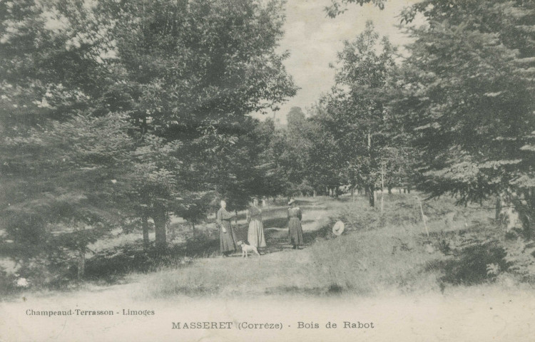 Masseret : "Masseret (Corrèze) - Bois de Rabot".
