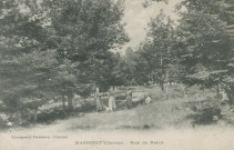 Masseret : "Masseret (Corrèze) - Bois de Rabot".