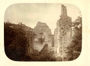 Abbaye de Coiroux : ruines de l'abbatiale.