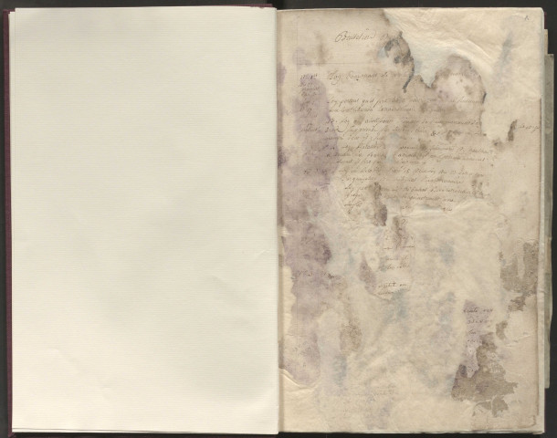 Délibérations du conseil municipal. 1er janvier 1794-15 août 1838