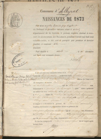 Naissances, mariages, décès (1873-1882)