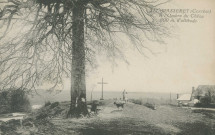 Masseret : "211. Masseret (Corrèze) - A l'ombre du chêne - 600m. d'altitude".