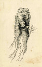 Racine de bryonia droica.