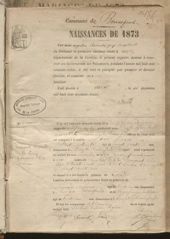 Naissances, mariages, décès (1873-1882)