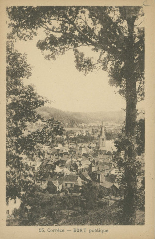 Bort-les-Orgues : "55. Corrèze - Bort poétique".