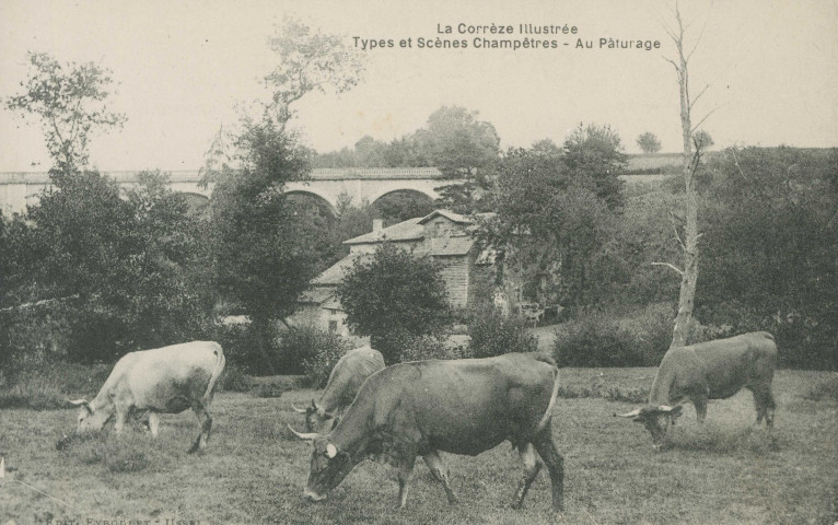 Folklore : "La Corrèze illustrée - Types et scènes champêtres - Au pâturage".