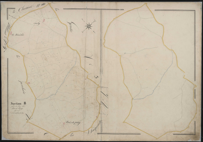 Section B5 du Bois de Peny